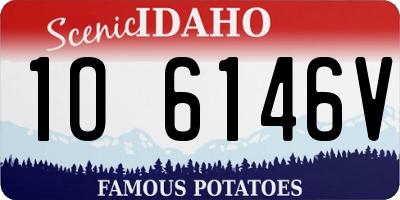 ID license plate 1O6146V