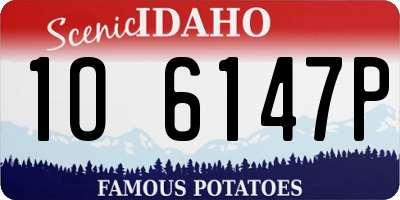 ID license plate 1O6147P