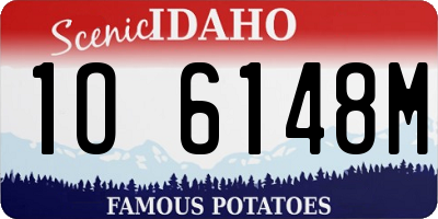 ID license plate 1O6148M