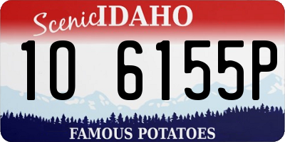 ID license plate 1O6155P