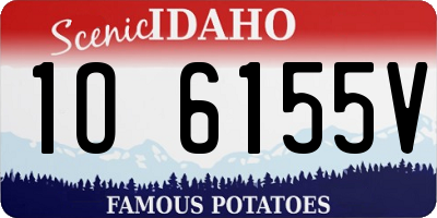 ID license plate 1O6155V