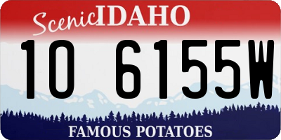 ID license plate 1O6155W