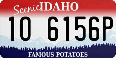 ID license plate 1O6156P