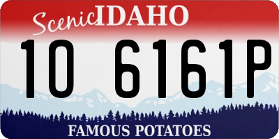 ID license plate 1O6161P