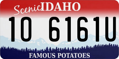 ID license plate 1O6161U