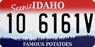 ID license plate 1O6161V