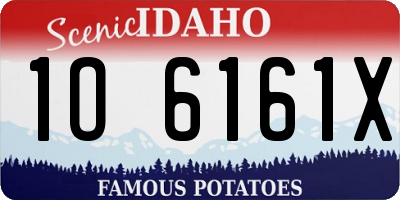 ID license plate 1O6161X