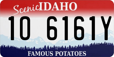 ID license plate 1O6161Y