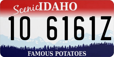 ID license plate 1O6161Z