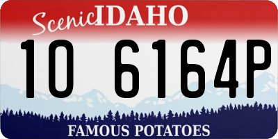 ID license plate 1O6164P
