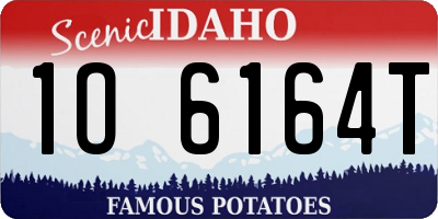 ID license plate 1O6164T