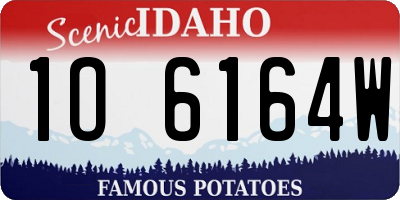 ID license plate 1O6164W
