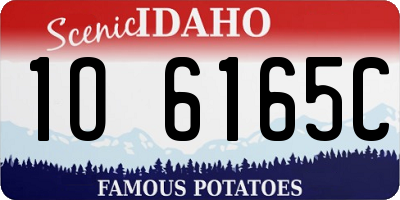 ID license plate 1O6165C