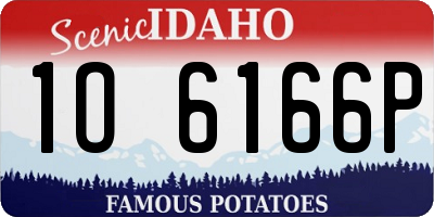 ID license plate 1O6166P