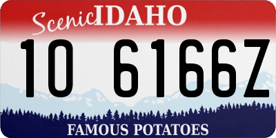 ID license plate 1O6166Z