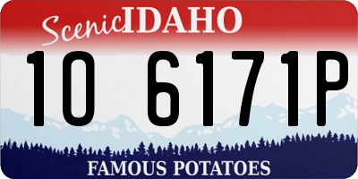 ID license plate 1O6171P