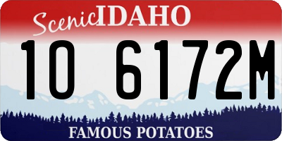 ID license plate 1O6172M