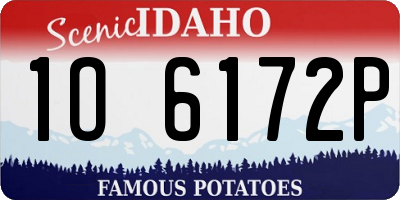ID license plate 1O6172P