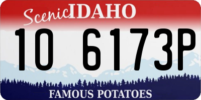 ID license plate 1O6173P