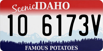 ID license plate 1O6173V