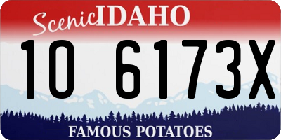 ID license plate 1O6173X