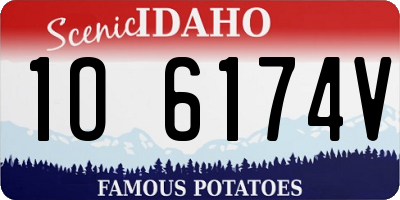 ID license plate 1O6174V