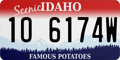 ID license plate 1O6174W