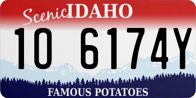 ID license plate 1O6174Y