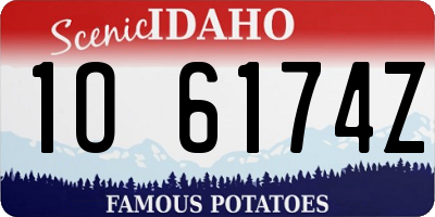 ID license plate 1O6174Z