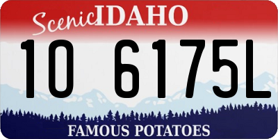ID license plate 1O6175L