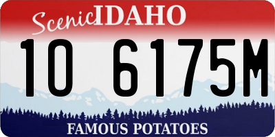 ID license plate 1O6175M