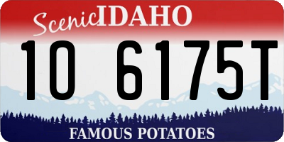 ID license plate 1O6175T