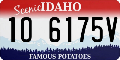 ID license plate 1O6175V