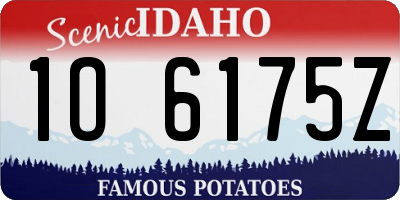 ID license plate 1O6175Z