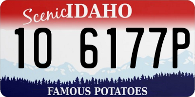 ID license plate 1O6177P
