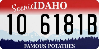 ID license plate 1O6181B