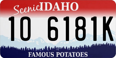 ID license plate 1O6181K