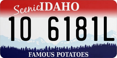 ID license plate 1O6181L