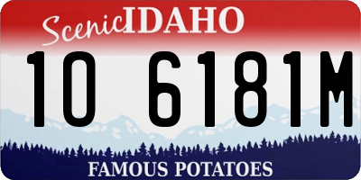 ID license plate 1O6181M