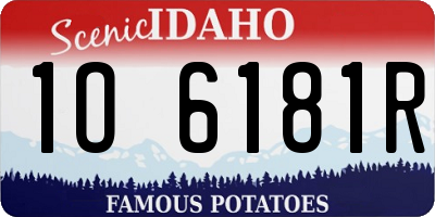 ID license plate 1O6181R