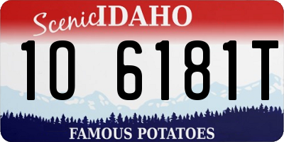 ID license plate 1O6181T