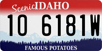 ID license plate 1O6181W