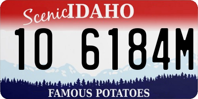 ID license plate 1O6184M