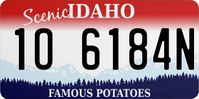 ID license plate 1O6184N