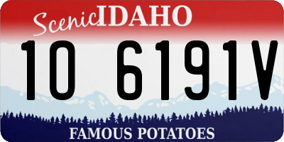 ID license plate 1O6191V