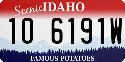 ID license plate 1O6191W