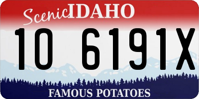 ID license plate 1O6191X