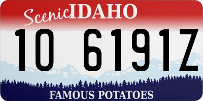 ID license plate 1O6191Z