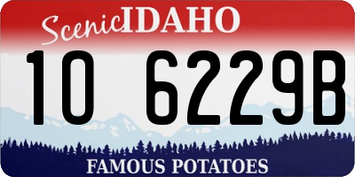 ID license plate 1O6229B