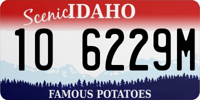 ID license plate 1O6229M